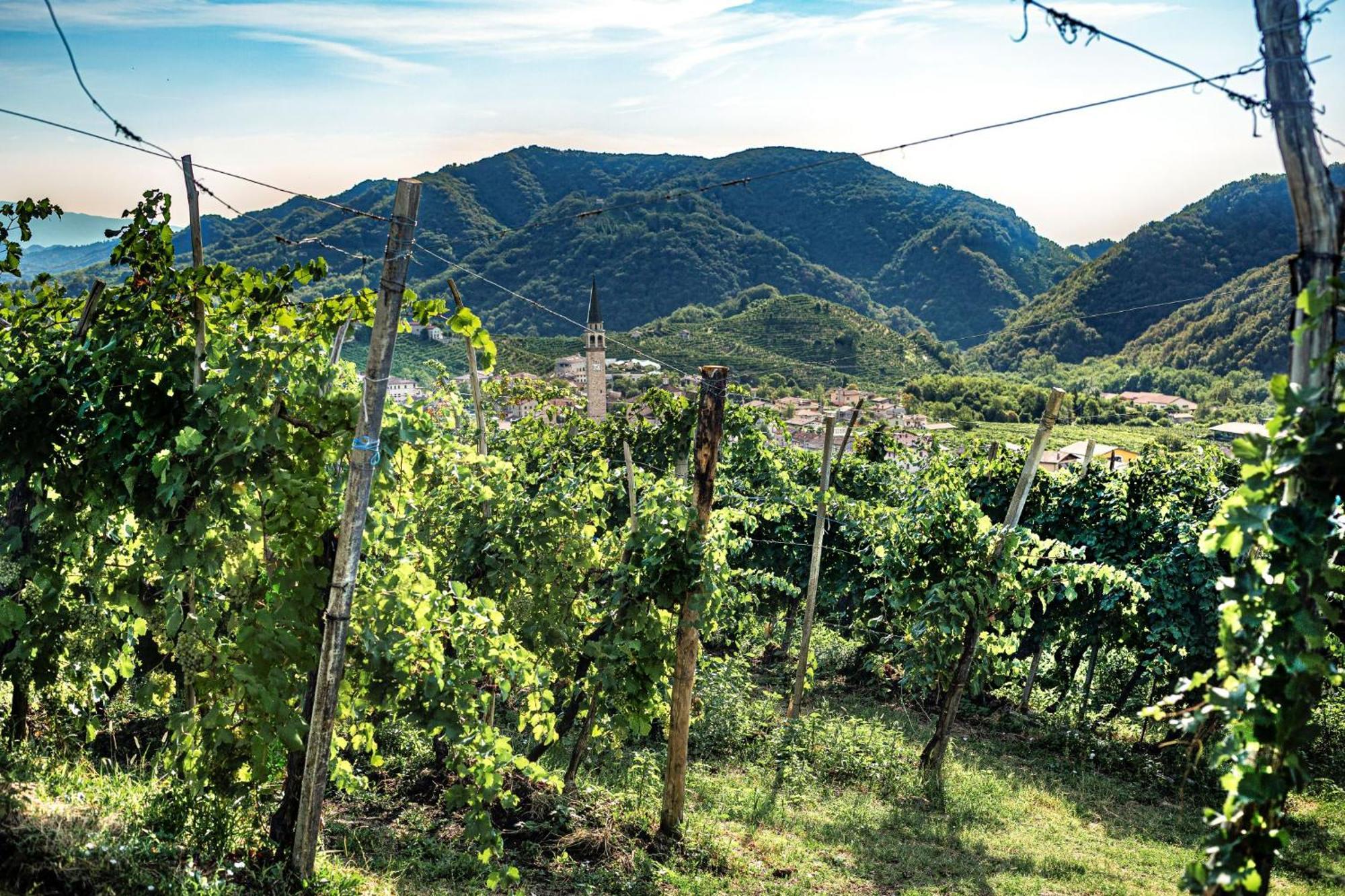 Ca'Lisel Villa Valdobbiadene Eksteriør bilde